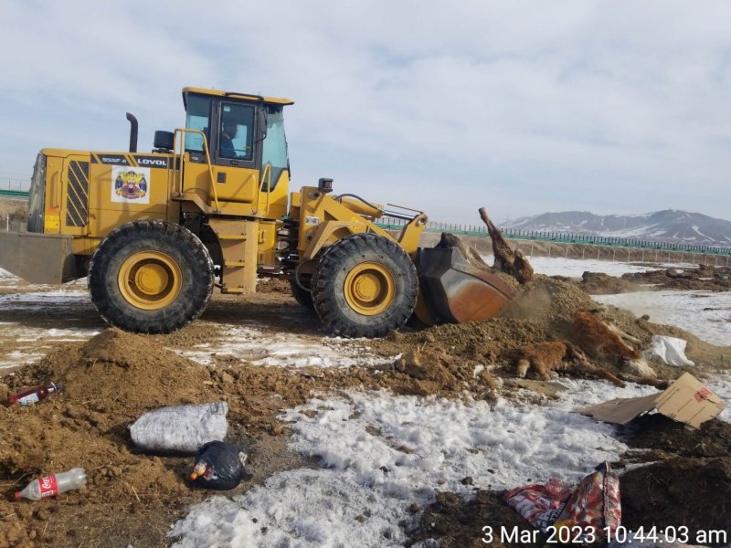 Хан-Уул дүүргийн 14 дүгээр хорооны нутаг дэвсгэрт нийтийн эзэмшлийн талбайд үүссэн малын сэг зэмийг цэвэрлэн ачиж тээвэрлэн устгалд оруулан ажиллаж байна.