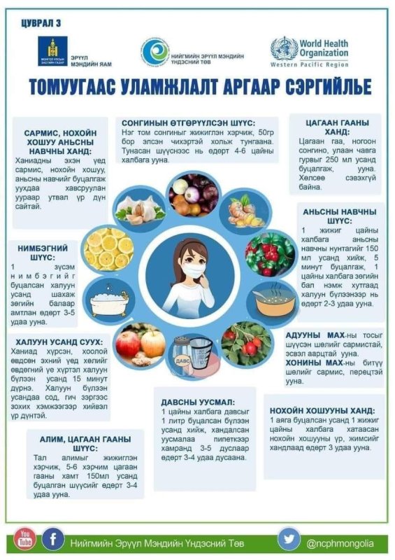 Улирлын томуугийн эрсдэл өндөр үед дархлаагаа сайтар дэмжээрэй